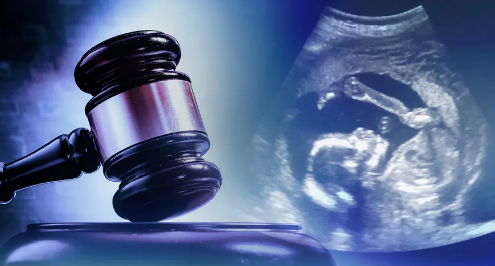 The government cannot coordinate an attack on pro-life ministries – We’re appealing