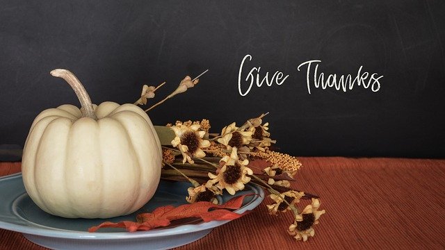 Thanksgiving: Why pro-lifers should be so very thankful this year