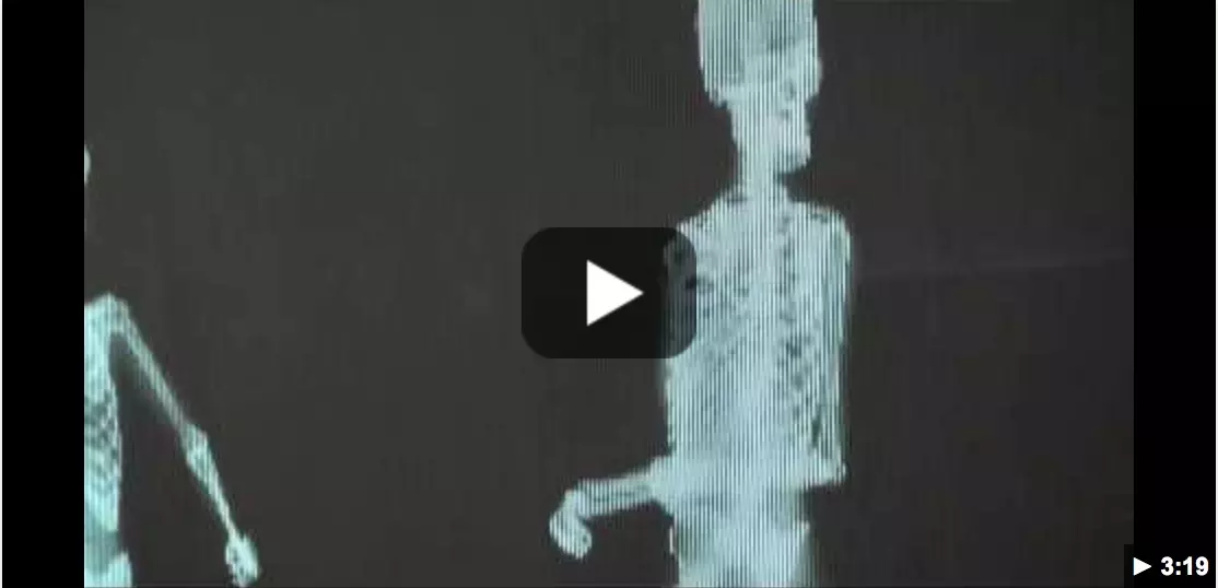 What is the Christian Response to the Skeleton Video?