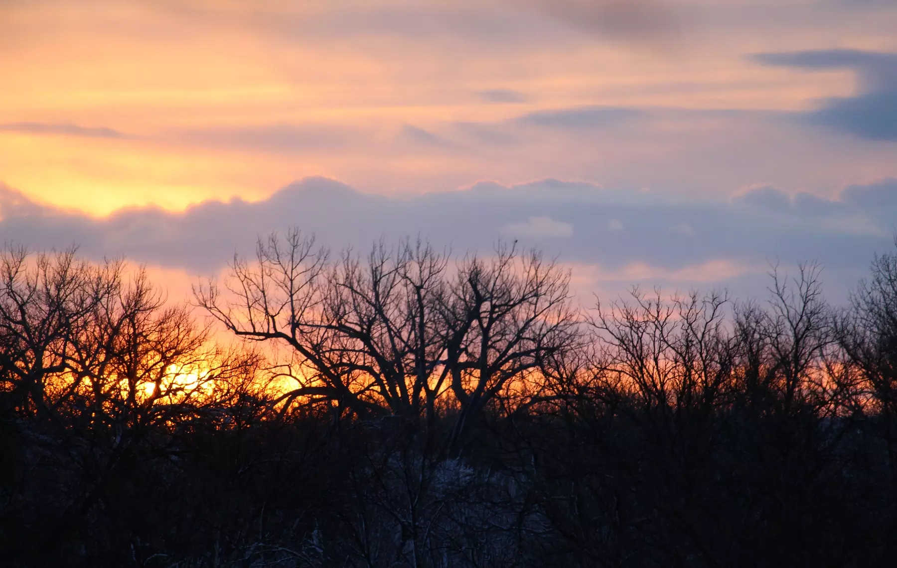 Lights in the darkness, being spring in someone’s winter