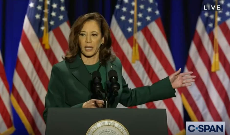 U.S. VP Kamala Harris speaks on Jan. 22, 2023, to commemorate the anniversary of Roe v. Wade 