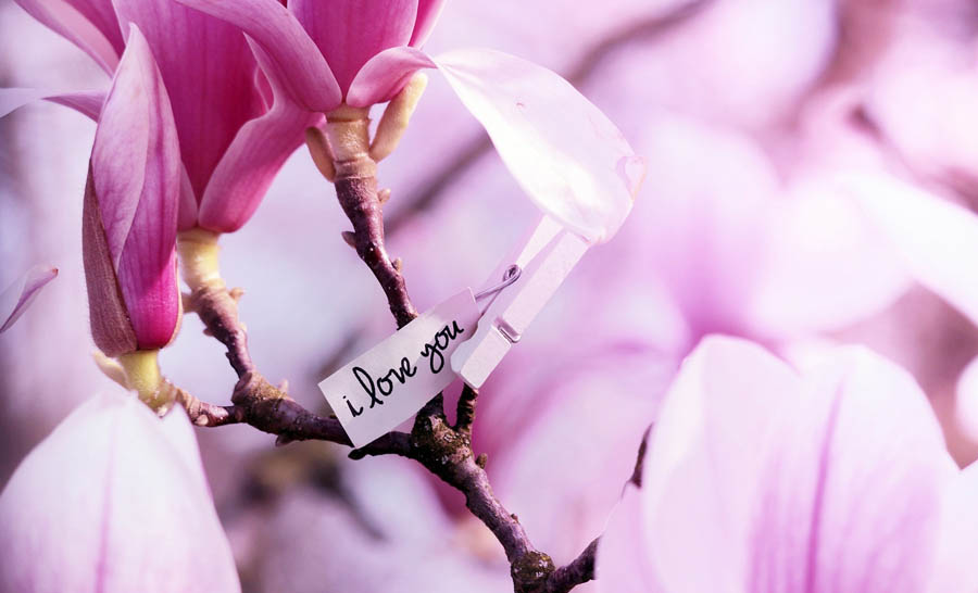 Bloom: Wyoming church to host women’s conference with Embrace Grace