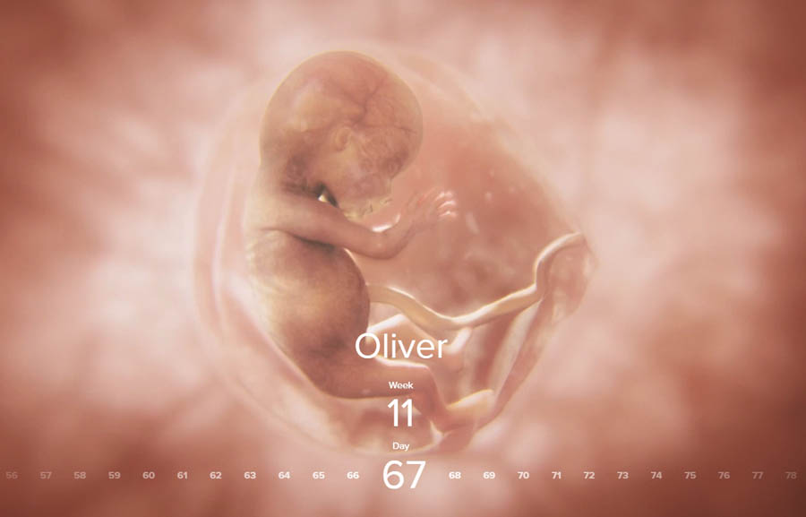 Pro-life group Live Action offers ‘window to the womb’ in new online experience