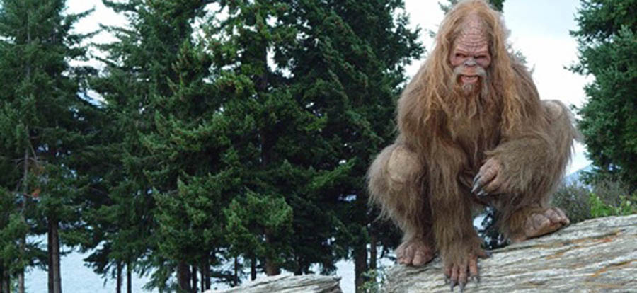 Skeptical of the Planned Parenthood Video? Me too.